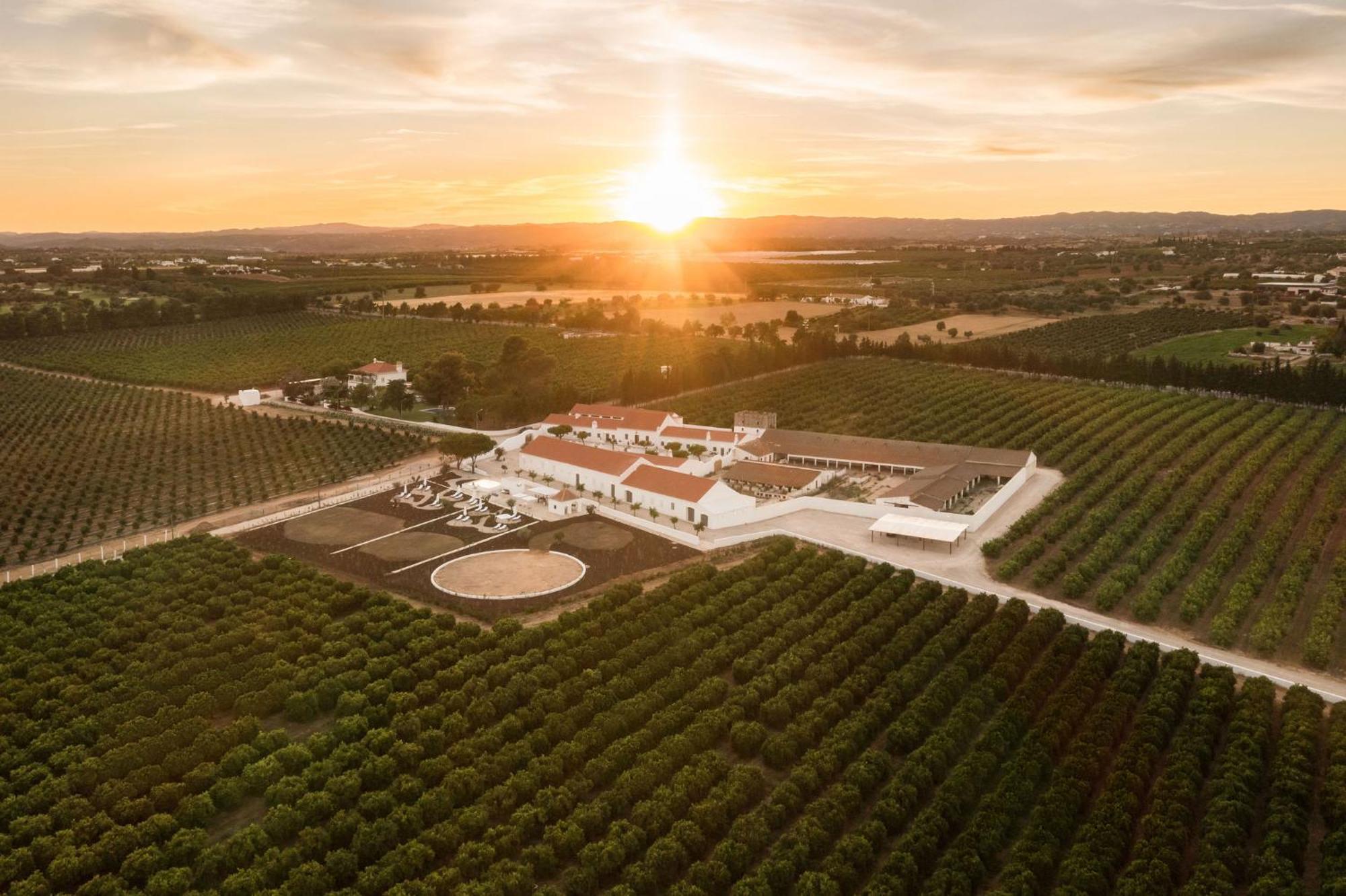 维拉诺瓦德卡塞拉Casas Da Quinta De Cima别墅 外观 照片
