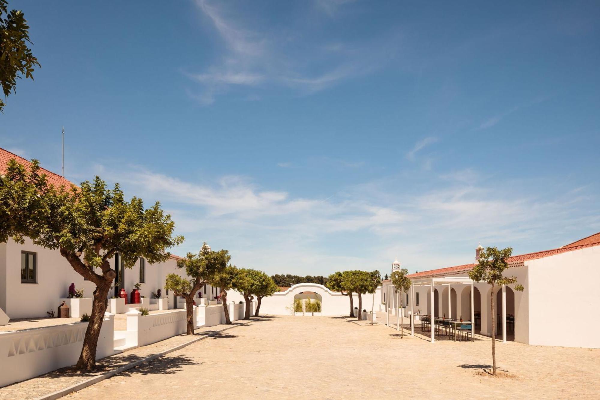 维拉诺瓦德卡塞拉Casas Da Quinta De Cima别墅 外观 照片