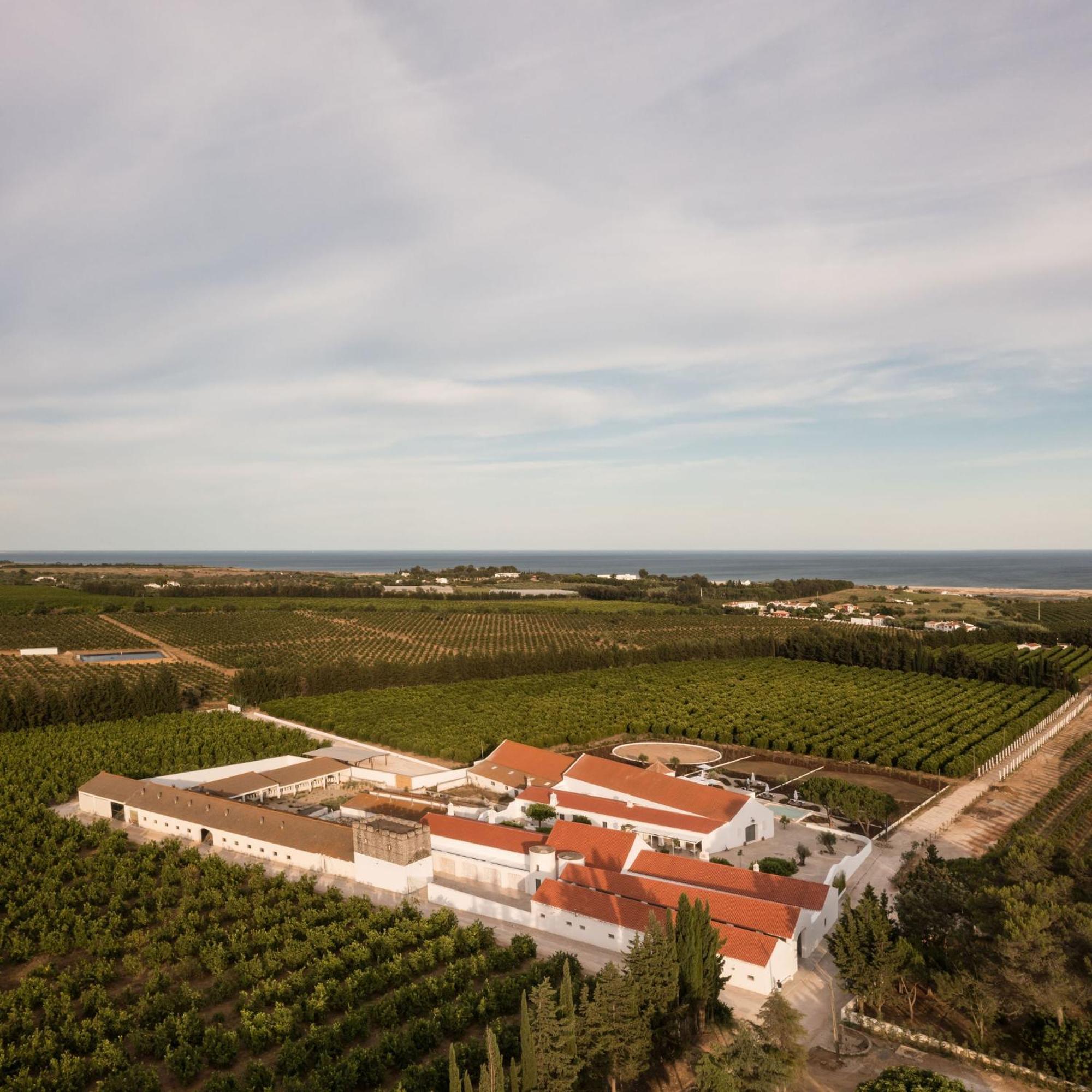 维拉诺瓦德卡塞拉Casas Da Quinta De Cima别墅 外观 照片