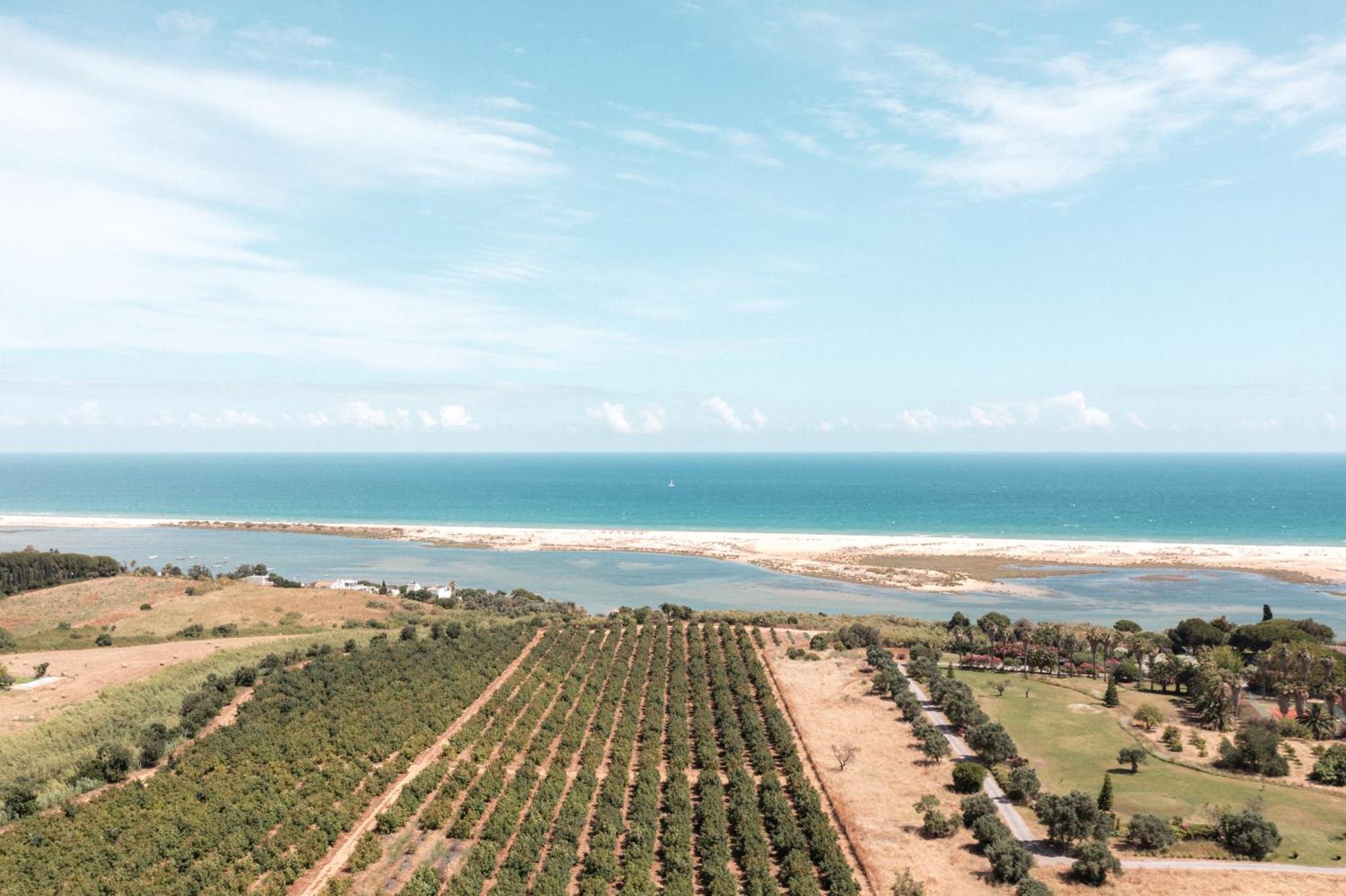 维拉诺瓦德卡塞拉Casas Da Quinta De Cima别墅 外观 照片
