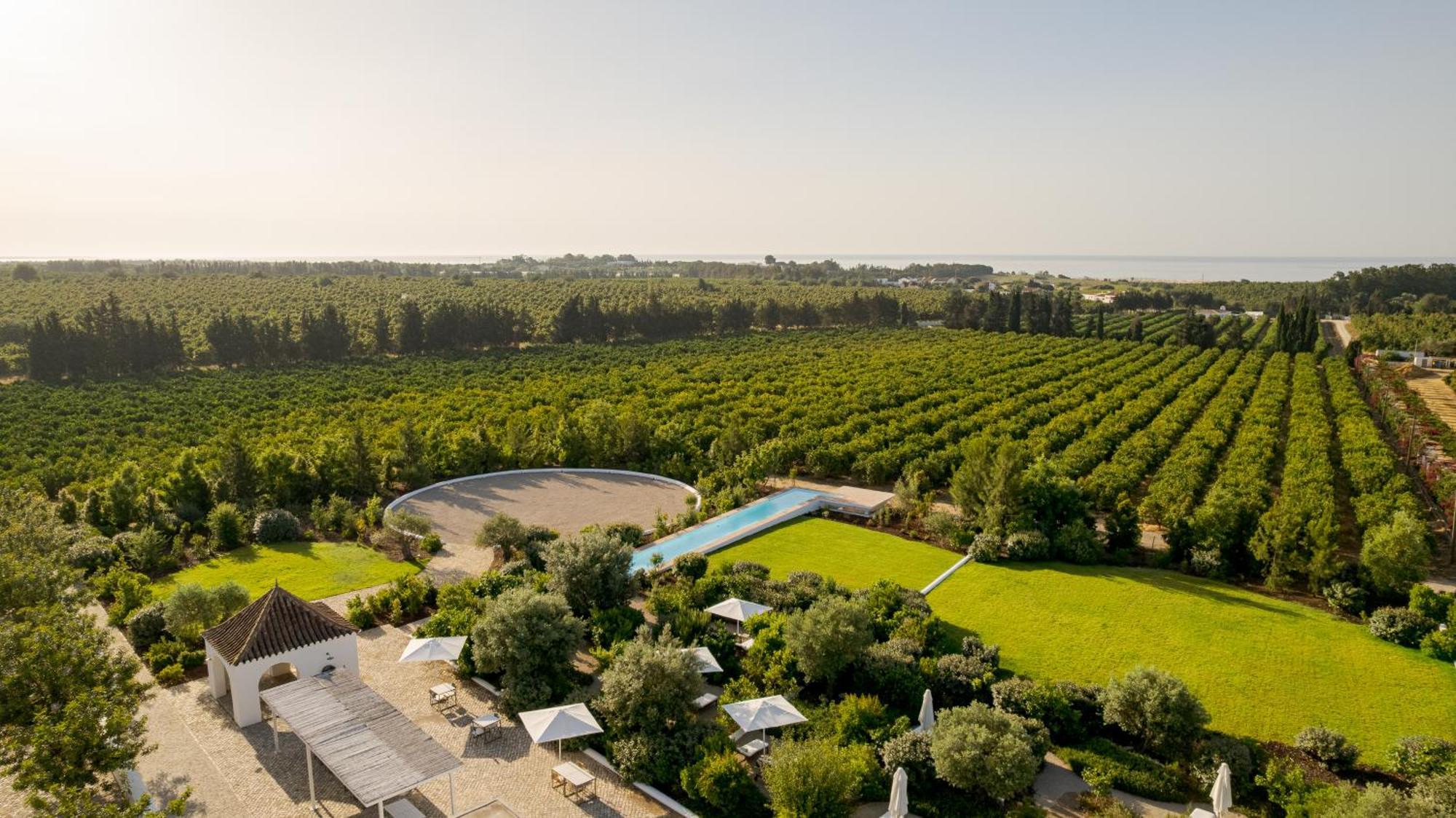 维拉诺瓦德卡塞拉Casas Da Quinta De Cima别墅 外观 照片