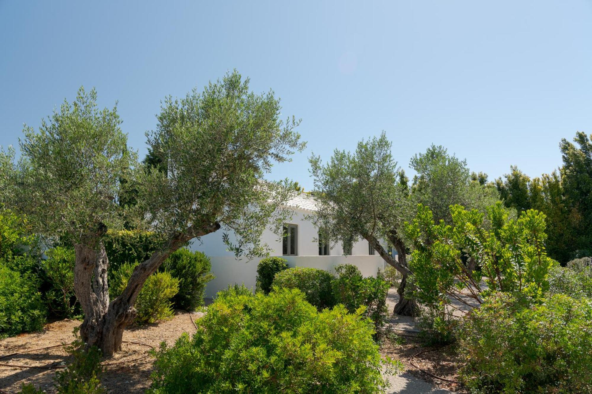 维拉诺瓦德卡塞拉Casas Da Quinta De Cima别墅 外观 照片